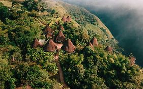 Ceiba By Masaya Collection